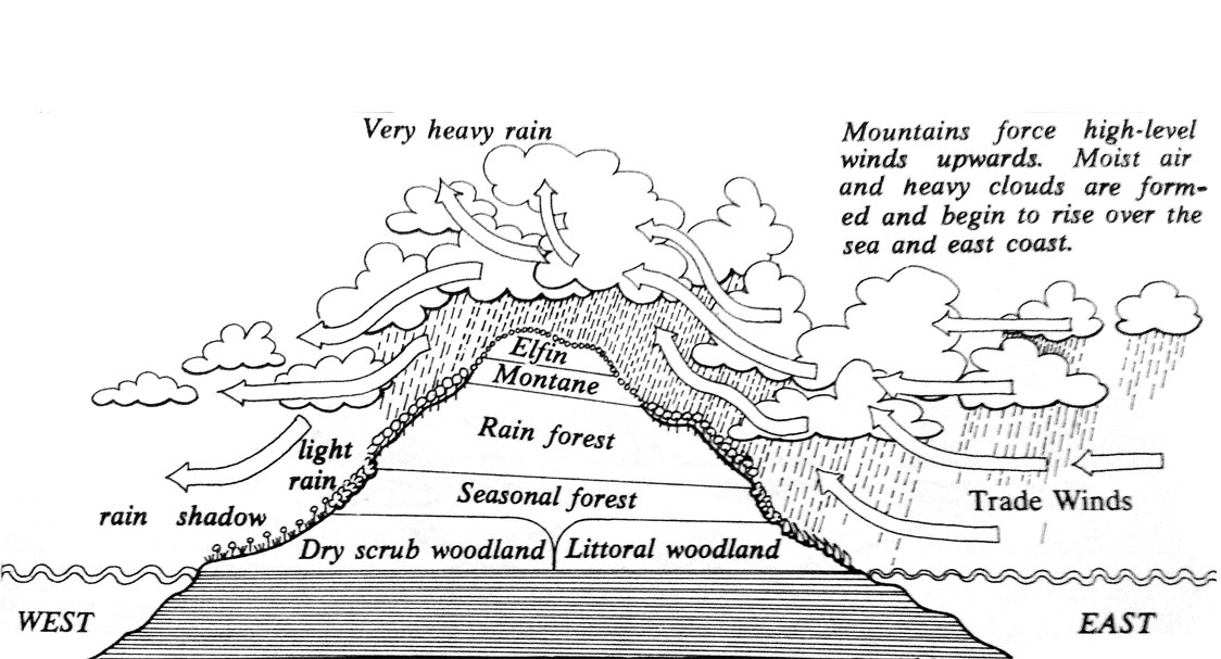 Profile of Dominica, taken from The Dominica Story: A History of the Island by Lennox Honychurch